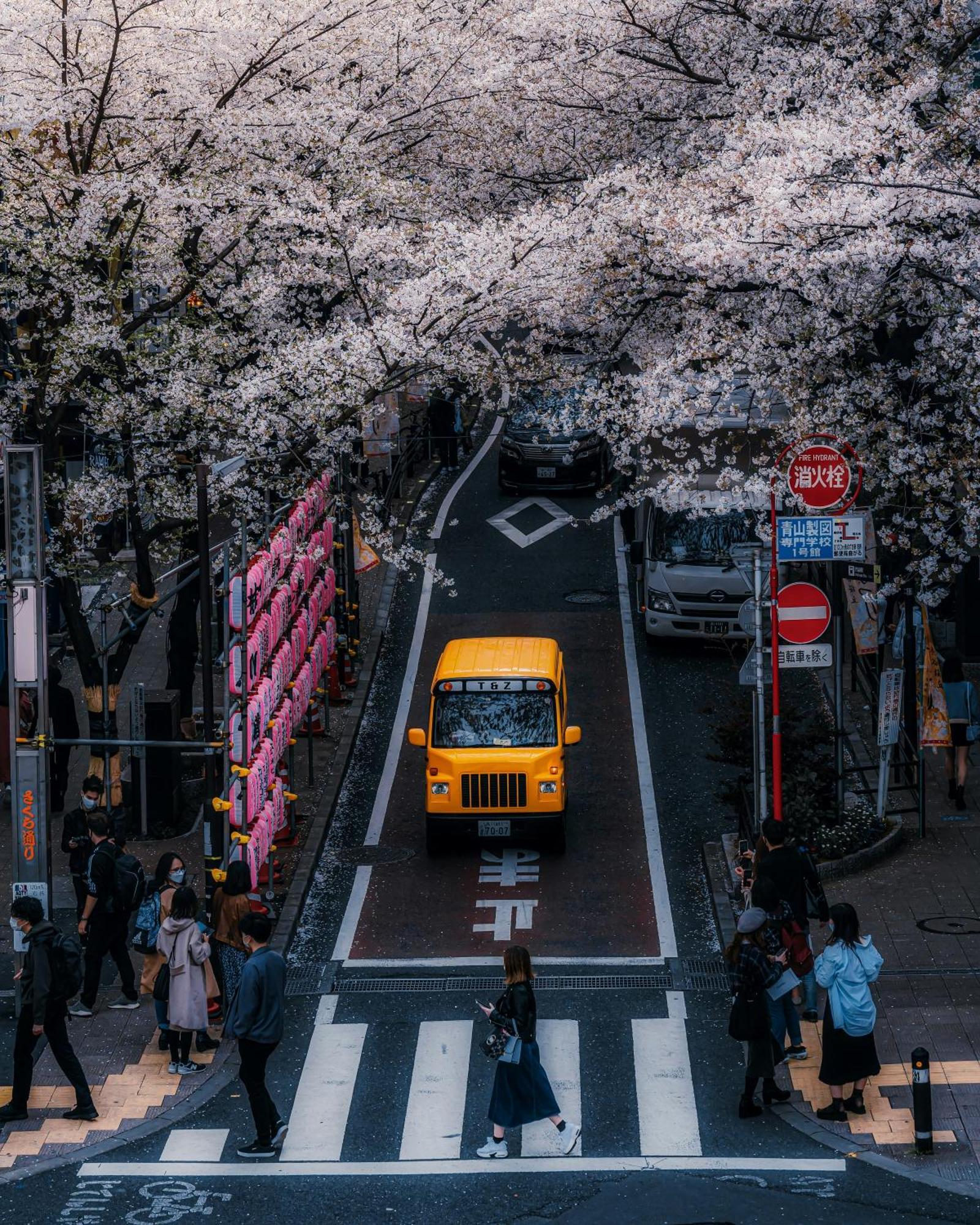 Illi Mani Shibuya Hotel Tokio Exterior foto